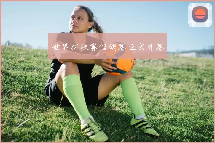 世界杯联赛信鸽赛正式开赛