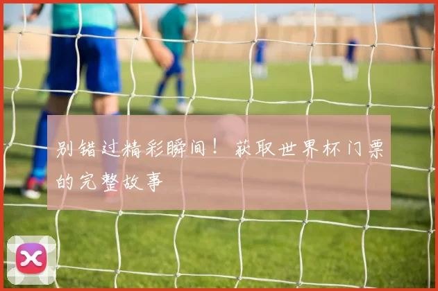 别错过精彩瞬间!获取世界杯门票的完整故事