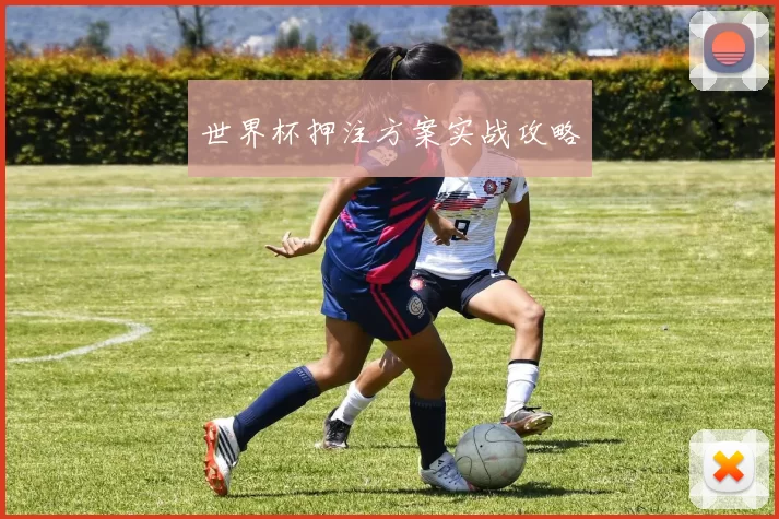 世界杯押注方案实战攻略
