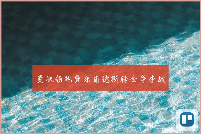 曼联领跑费尔南德斯转会争夺战