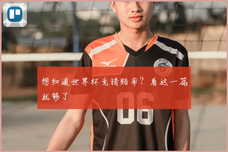 想知道世界杯竞猜赔率?看这一篇就够了