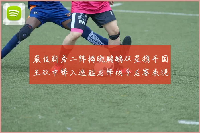 最佳新秀二阵揭晓鹈鹕双星携手国王双中锋入选猛龙锋线季后赛表现抢眼