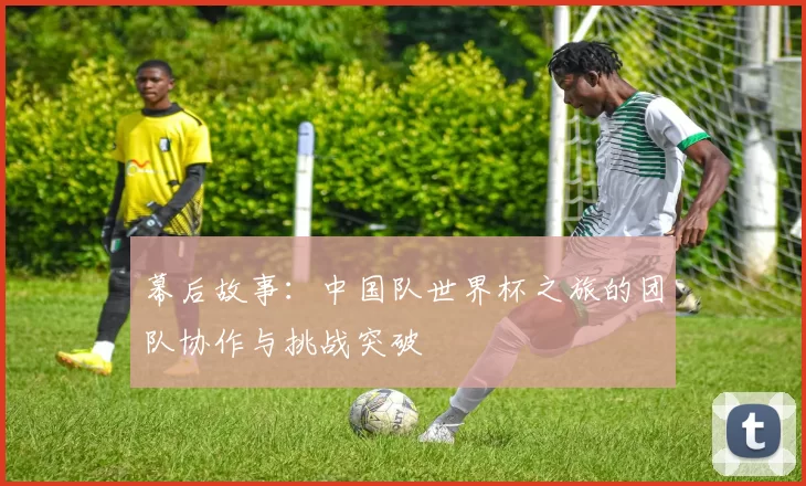 幕后故事:中国队世界杯之旅的团队协作与挑战突破