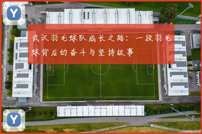 武汉羽毛球队成长之路:一段羽毛球背后的奋斗与坚持故事