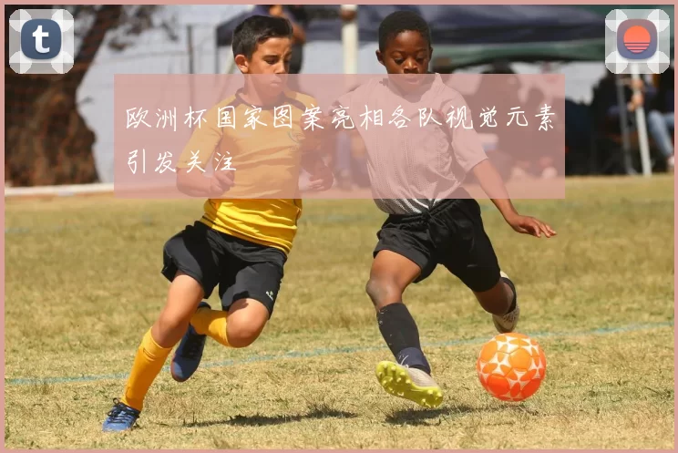 欧洲杯国家图案亮相各队视觉元素引发关注