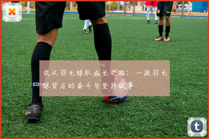 武汉羽毛球队成长之路:一段羽毛球背后的奋斗与坚持故事