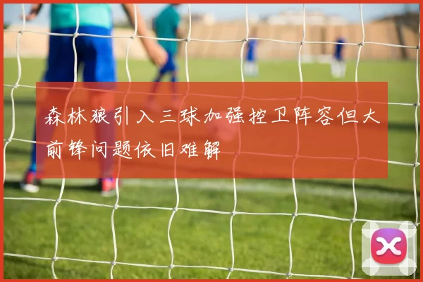 森林狼引入三球加强控卫阵容但大前锋问题依旧难解