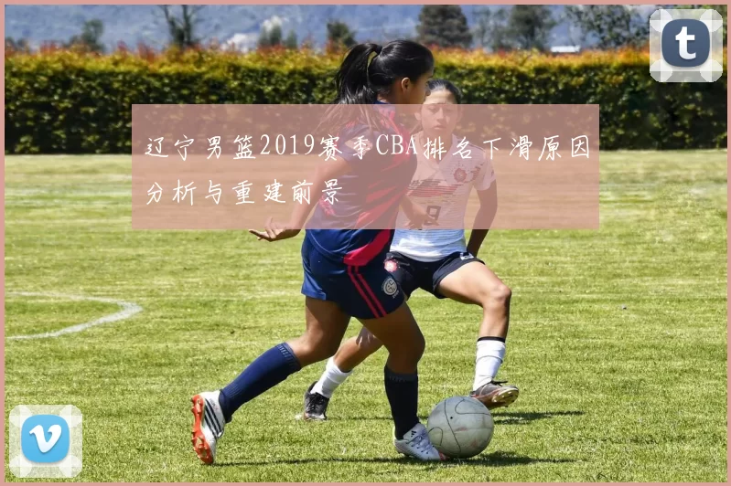 辽宁男篮2019赛季CBA排名下滑原因分析与重建前景