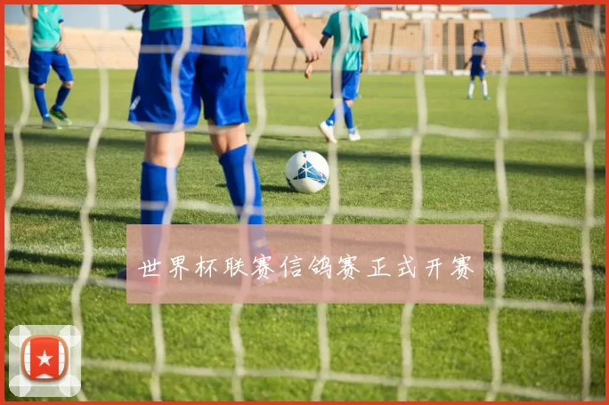 世界杯联赛信鸽赛正式开赛