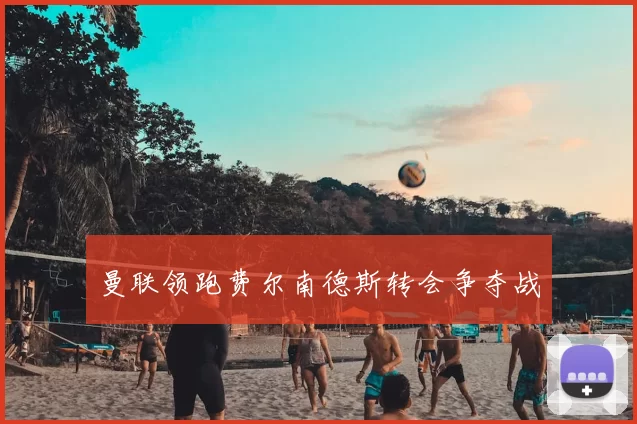 曼联领跑费尔南德斯转会争夺战