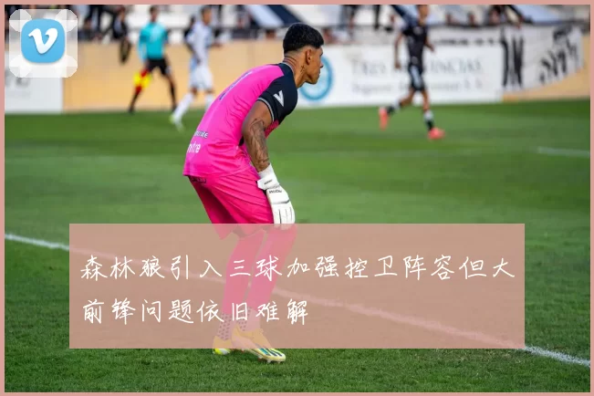 森林狼引入三球加强控卫阵容但大前锋问题依旧难解