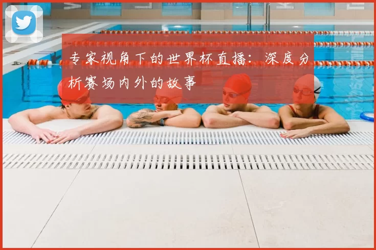 专家视角下的世界杯直播:深度分析赛场内外的故事