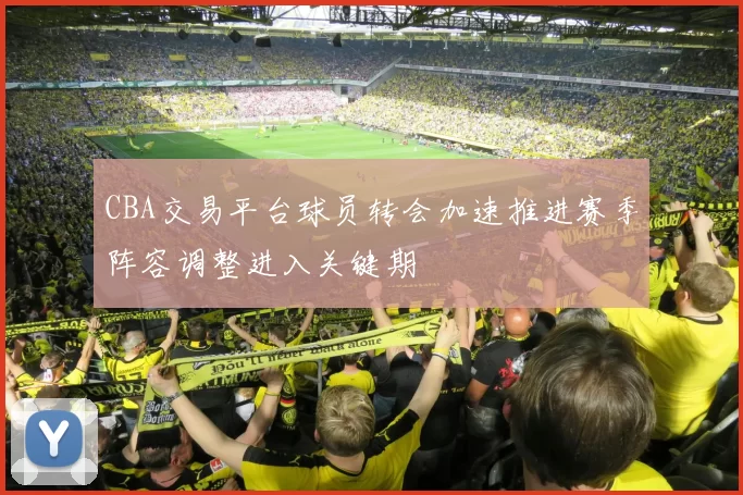 CBA交易平台球员转会加速推进赛季阵容调整进入关键期