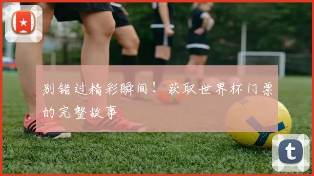 别错过精彩瞬间!获取世界杯门票的完整故事